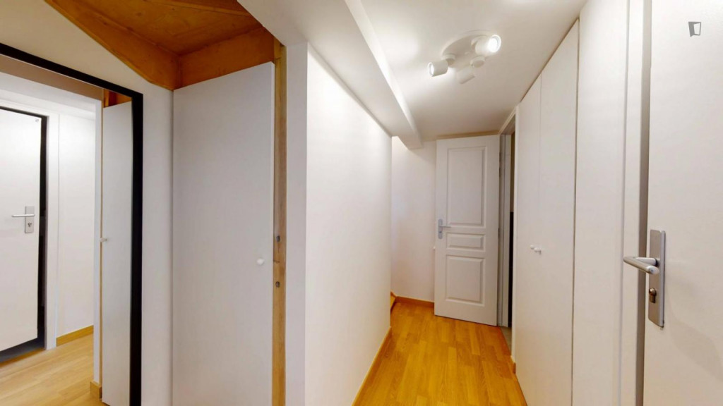 Great double ensuite bedroom in Villejuif