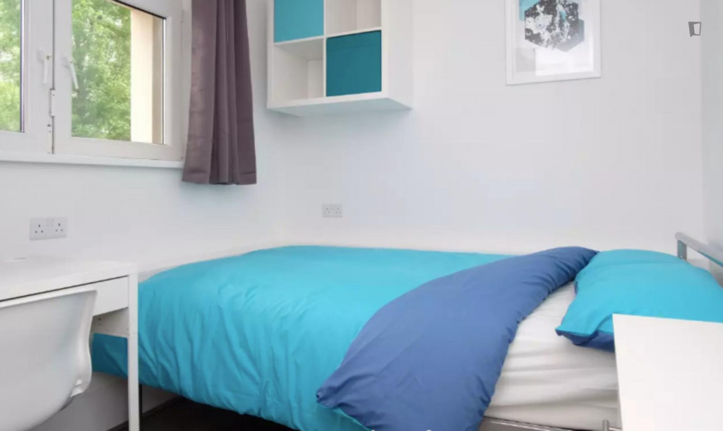 Snug double bedroom close to Bethnal Green Overground - London - chambre - ImmoJeune
