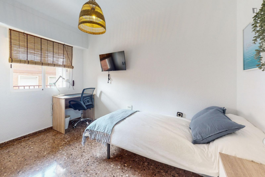 Attractive single bedroom - Valence - chambre - ImmoJeune