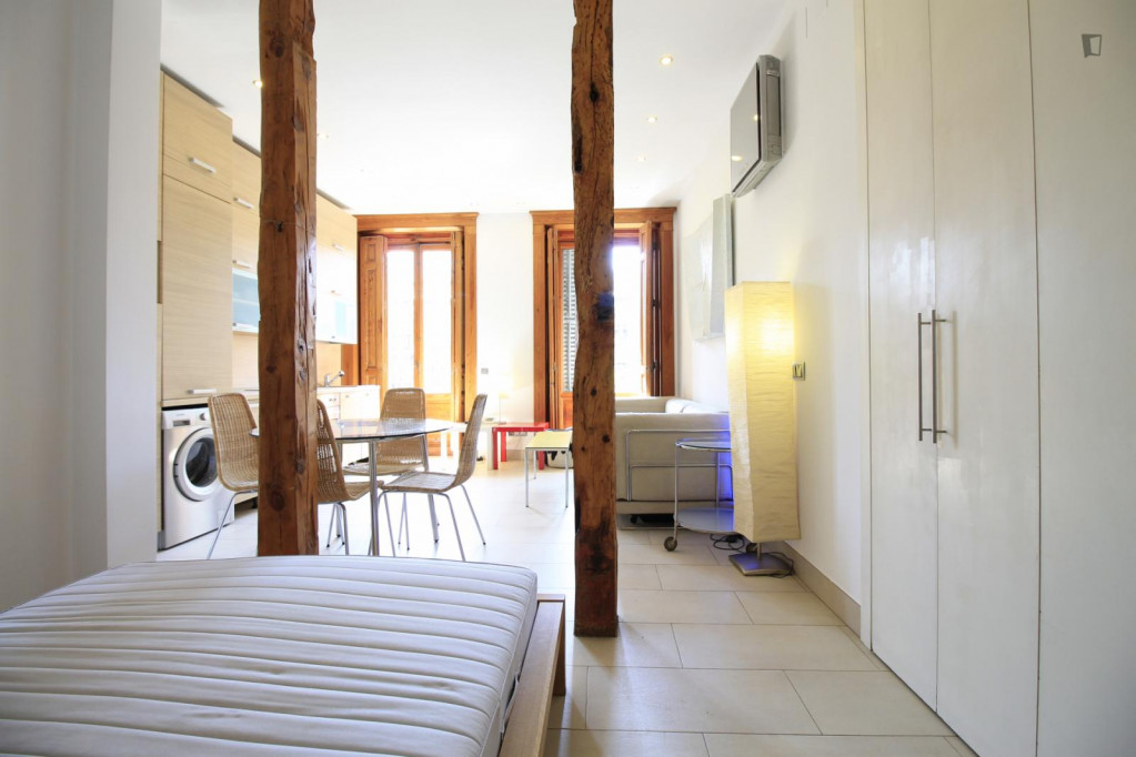 Charming studio just steps away from Bilbao metro station - Madrid - chambre - ImmoJeune