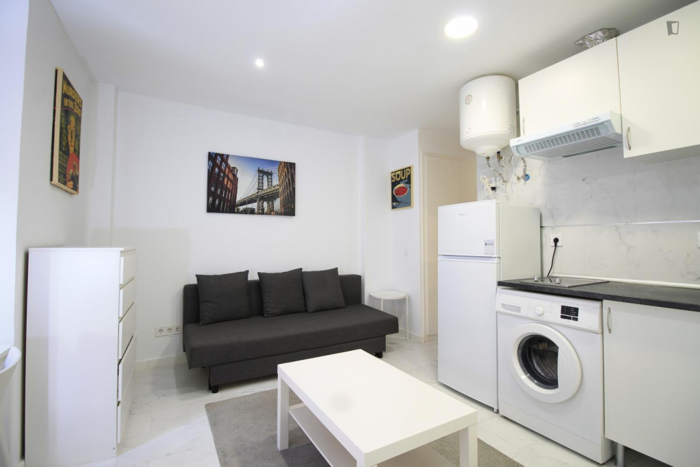 Delightful and bis studio in Usera - Madrid - chambre - ImmoJeune