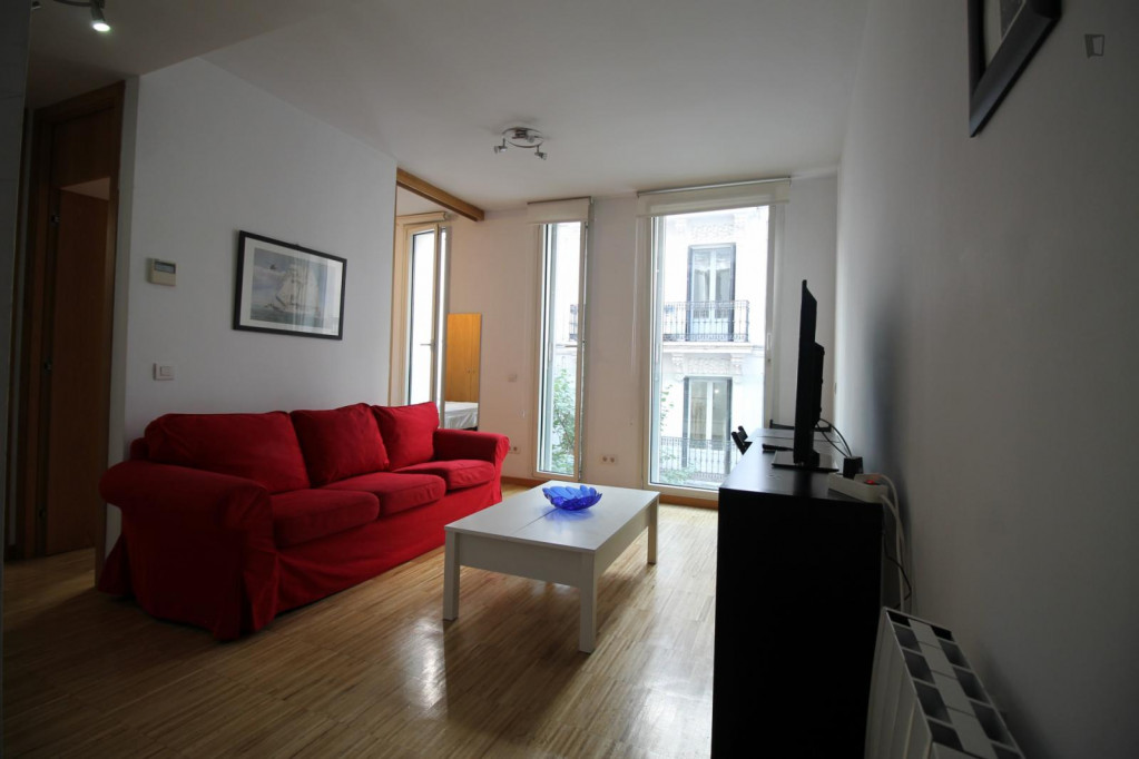 Very nice studio close to Fuente de Neptuno - Madrid - chambre - ImmoJeune