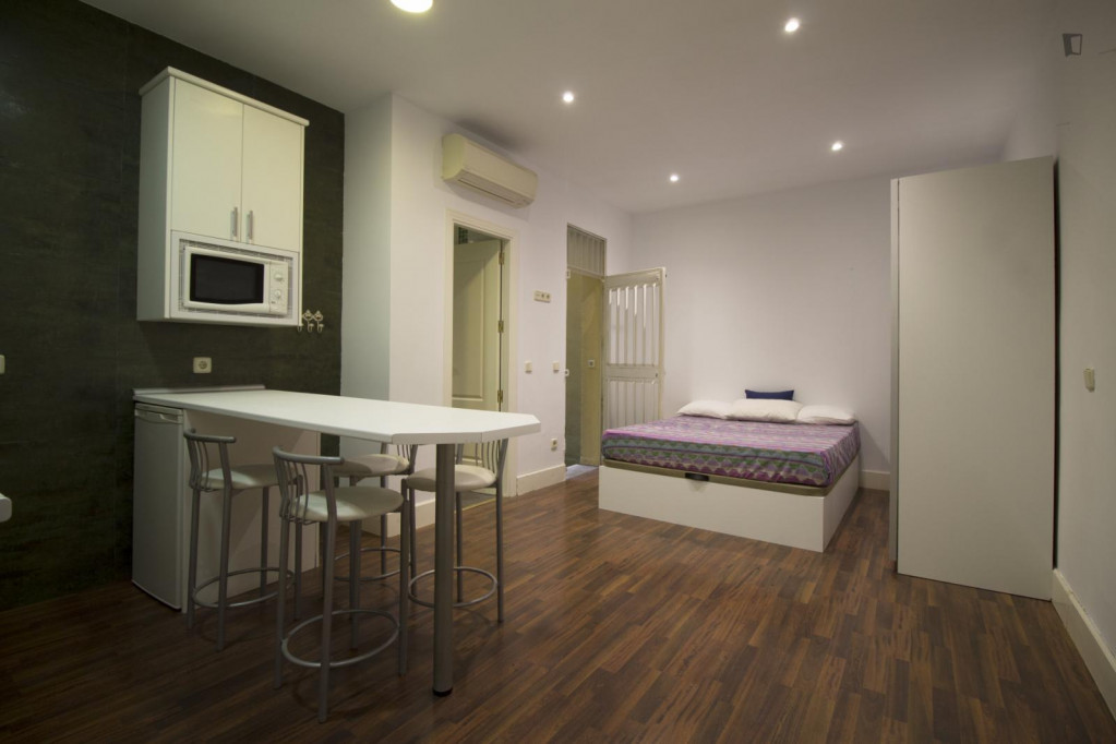 Cool studio with terrace close to El Retiro - Madrid - chambre - ImmoJeune