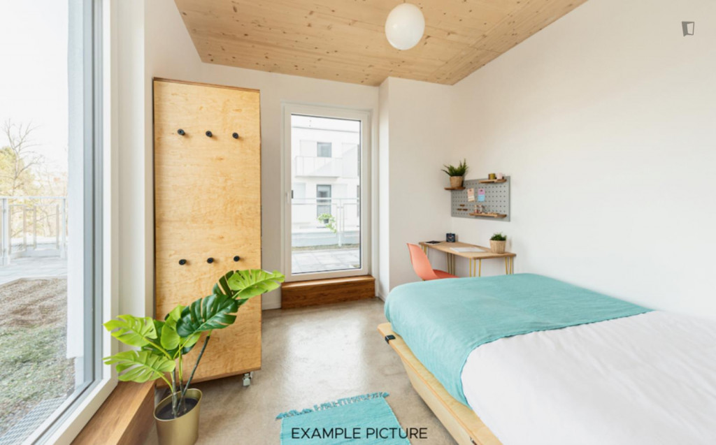 Luminous single bedroom in a 5-bedroom apartment in Wedding - Berlin - chambre - ImmoJeune