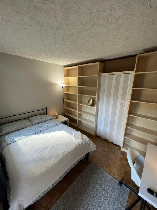 Pleasant double bedroom near Peel metro station - Montreal - chambre - ImmoJeune