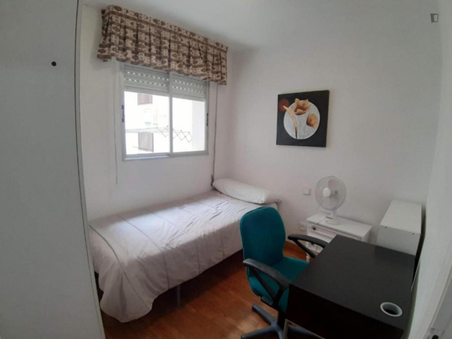 Pleasant single bedroom next to Universidad de Murcia, Campus de la Merced - Murcia - chambre - ImmoJeune