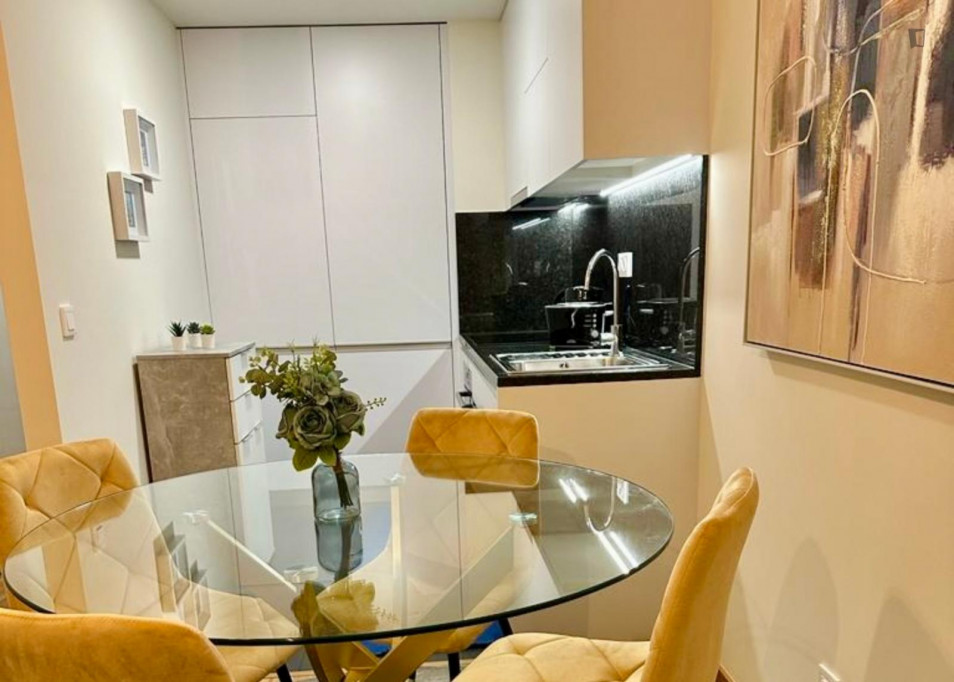 Fully equipped apartment next to the Porto university campus