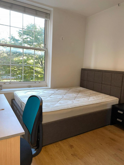 Homely double bedroom in Hackney - London - chambre - ImmoJeune