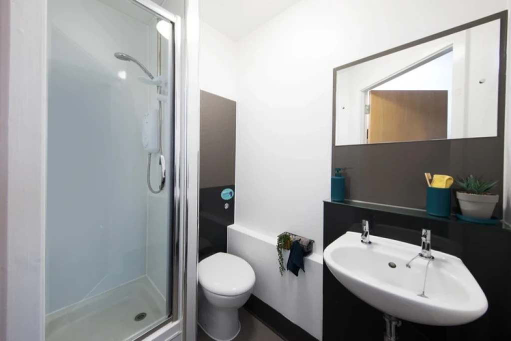 Queens Park House - Coventry - chambre - ImmoJeune