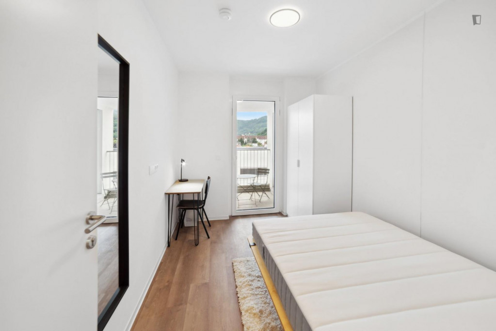 Interesting single bedroom in Lend