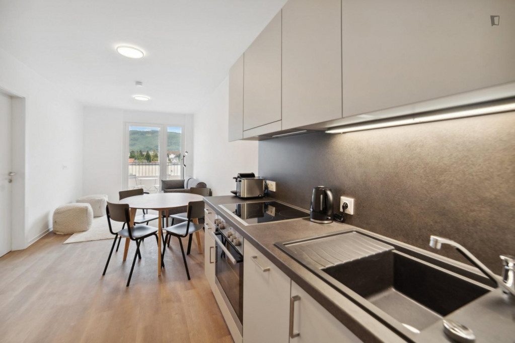 Compact 1-bedroom apartment in Lend - Graz - chambre - ImmoJeune