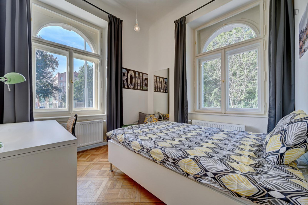 Luminous single bedroom near the Museum Kampa - Prague - chambre - ImmoJeune