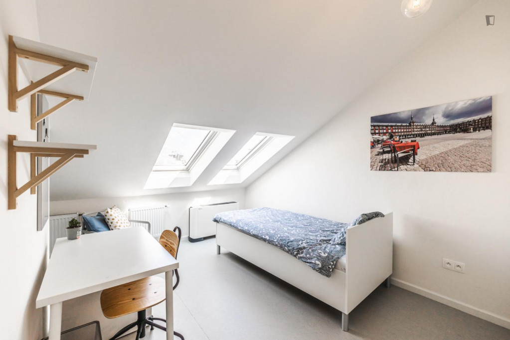 Great single bedroom not far from Petřín Gardens - Prague - chambre - ImmoJeune