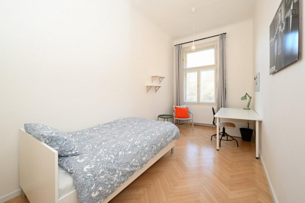Restful single bedroom in proximity to Kinsky Garden - Prague - chambre - ImmoJeune