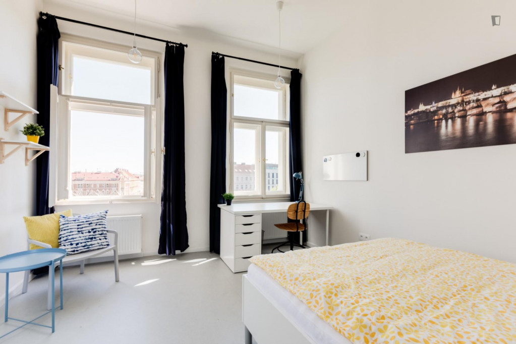 Pleasant double bedroom close to Dětský Ostrov - Prague - chambre - ImmoJeune