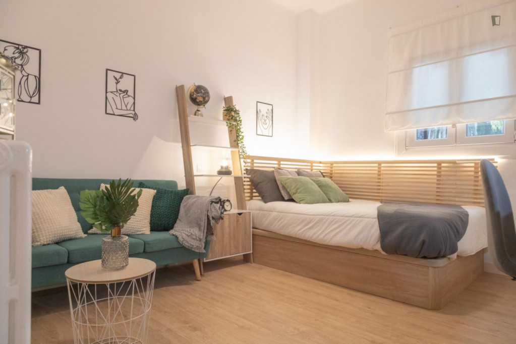 Delightful single bedroom near El Retiro - Madrid - chambre - ImmoJeune