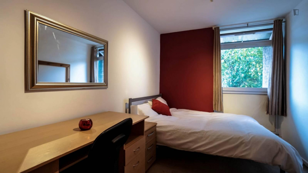 Comfy double bedroom close to Stockwell tube station - London - chambre - ImmoJeune