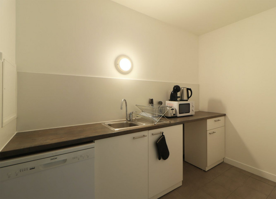 Bright 89 m² coliving apartment for rent in Paris
