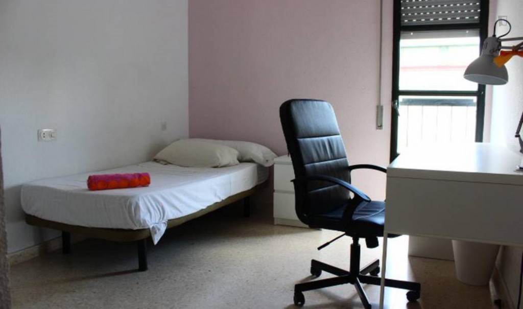 Sunny room shared students flat in Triana (91)