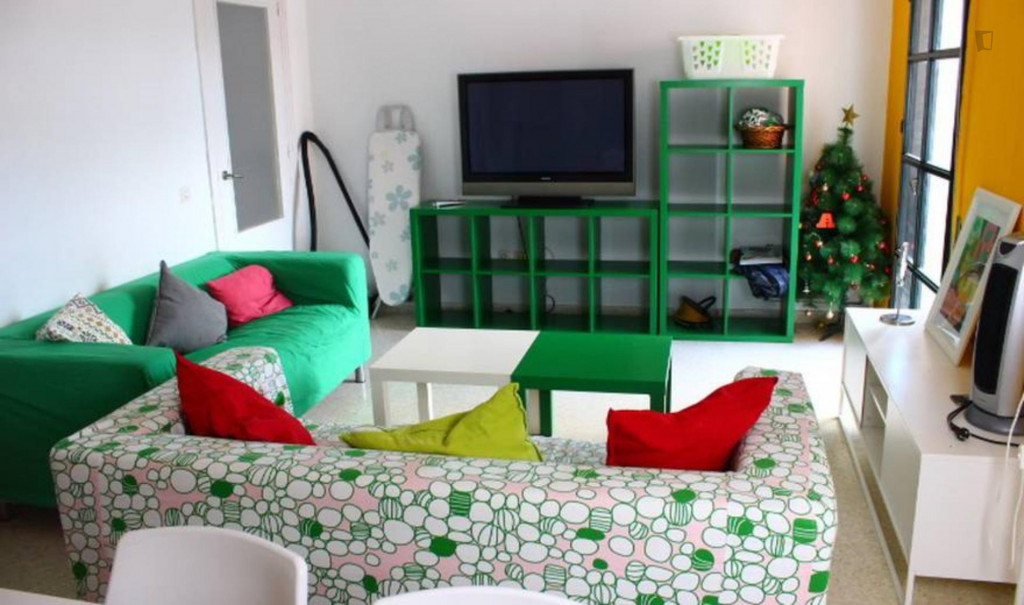 Sunny room shared students flat in Triana (91)