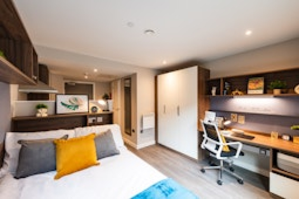 Nelson Place Roost - Belfast - chambre - ImmoJeune