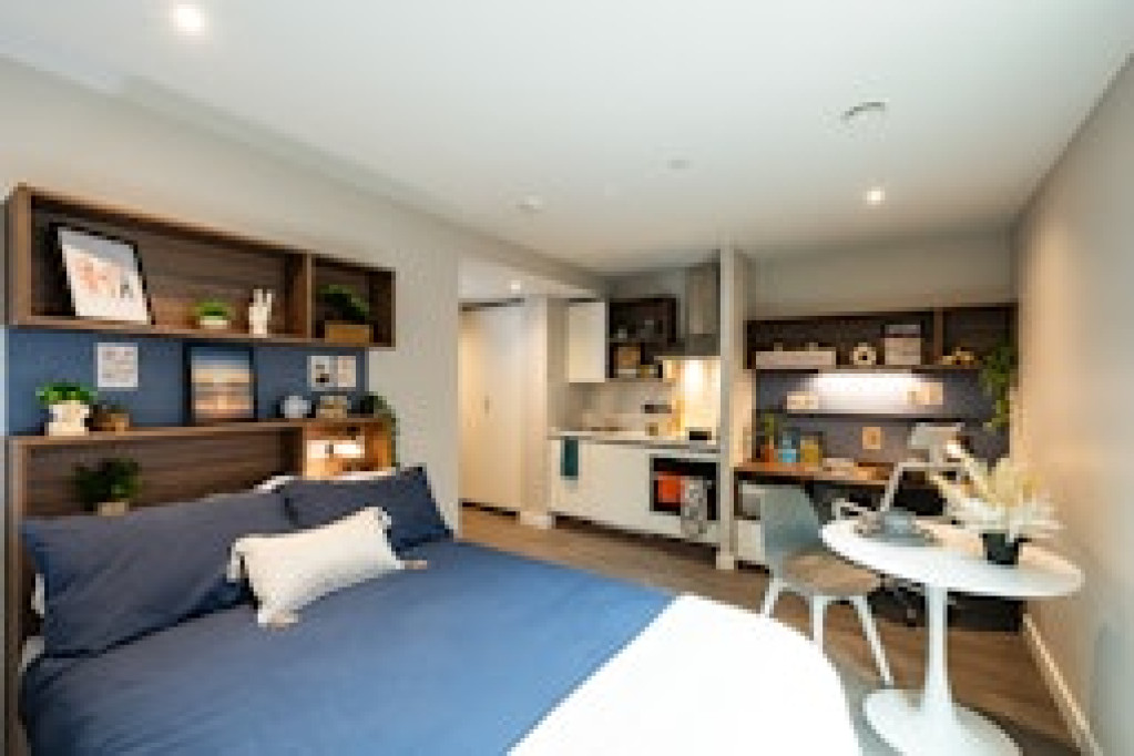 Nelson Place Roost - Belfast - chambre - ImmoJeune