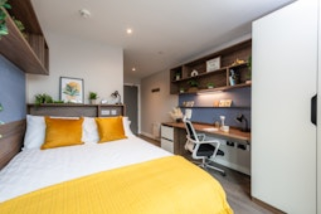 Nelson Place Roost - Belfast - chambre - ImmoJeune