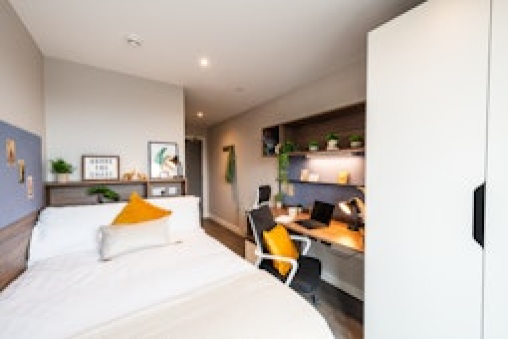 Nelson Place Roost - Belfast - chambre - ImmoJeune