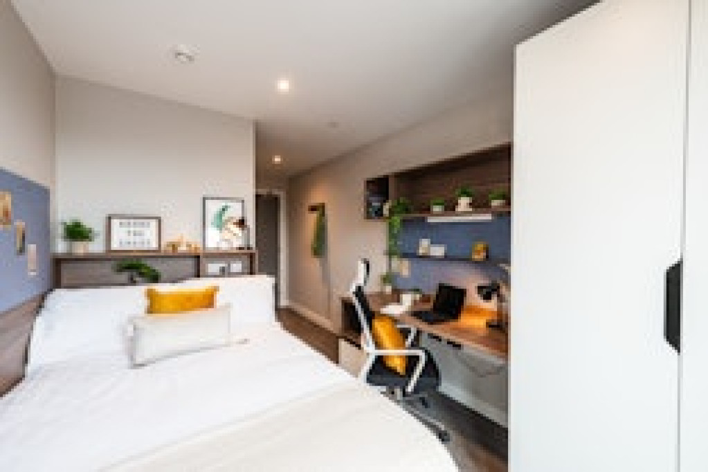 Nelson Place Roost - Belfast - chambre - ImmoJeune