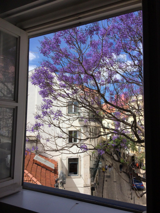 Charming flat in the heart of Lisbon's historic centre
