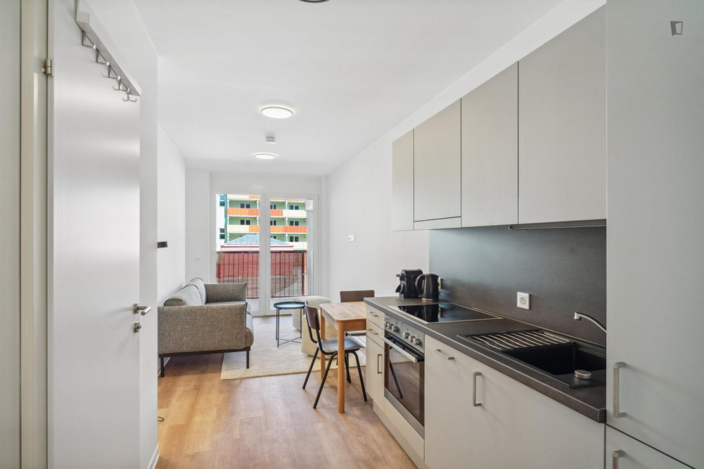 Nice 1-bedroom flat not too far from FH Joanneum Graz - Graz - chambre - ImmoJeune