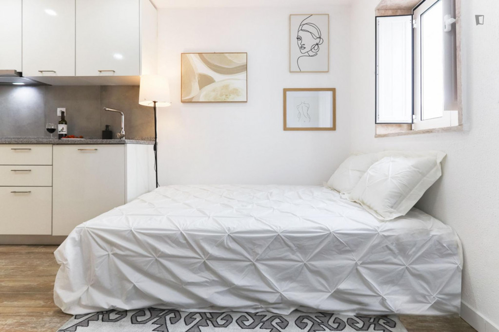 Bright studio close to Jardim do Largo da Ajuda