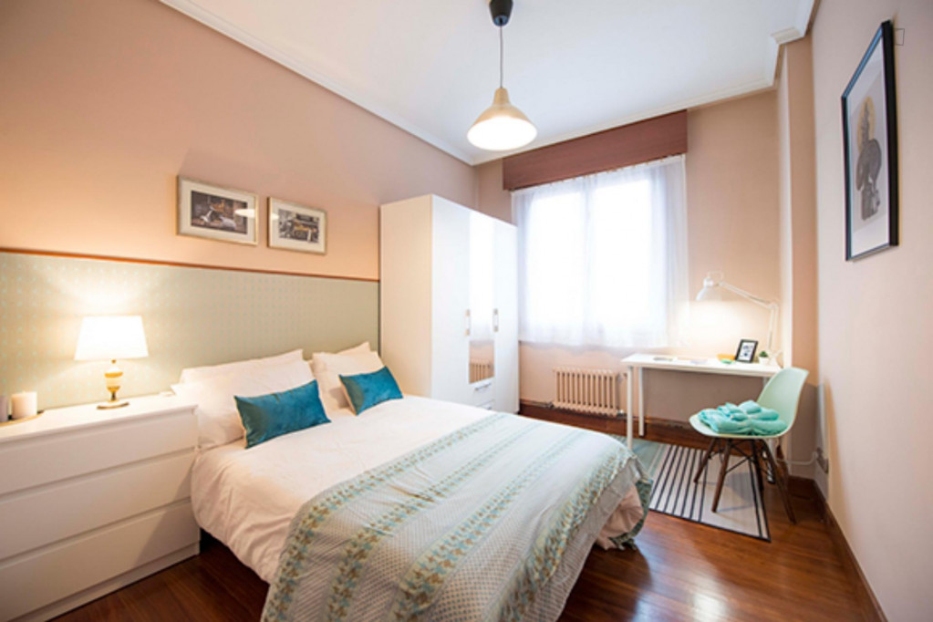Neat double bedroom in Deusto