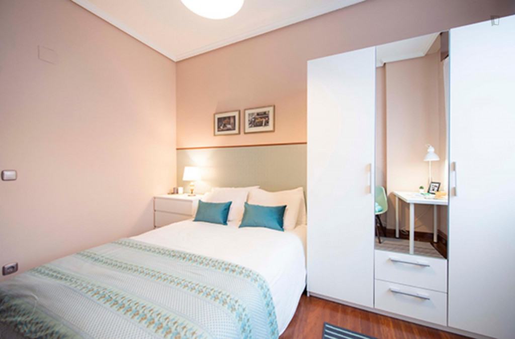 Neat double bedroom in Deusto