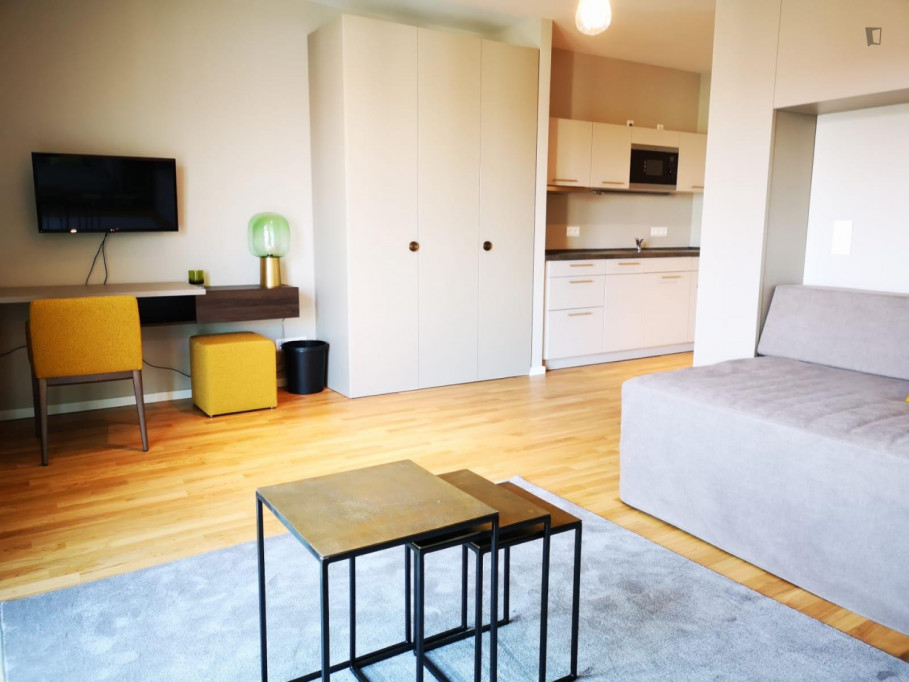 Bright studio in Köpenick - Berlin - chambre - ImmoJeune