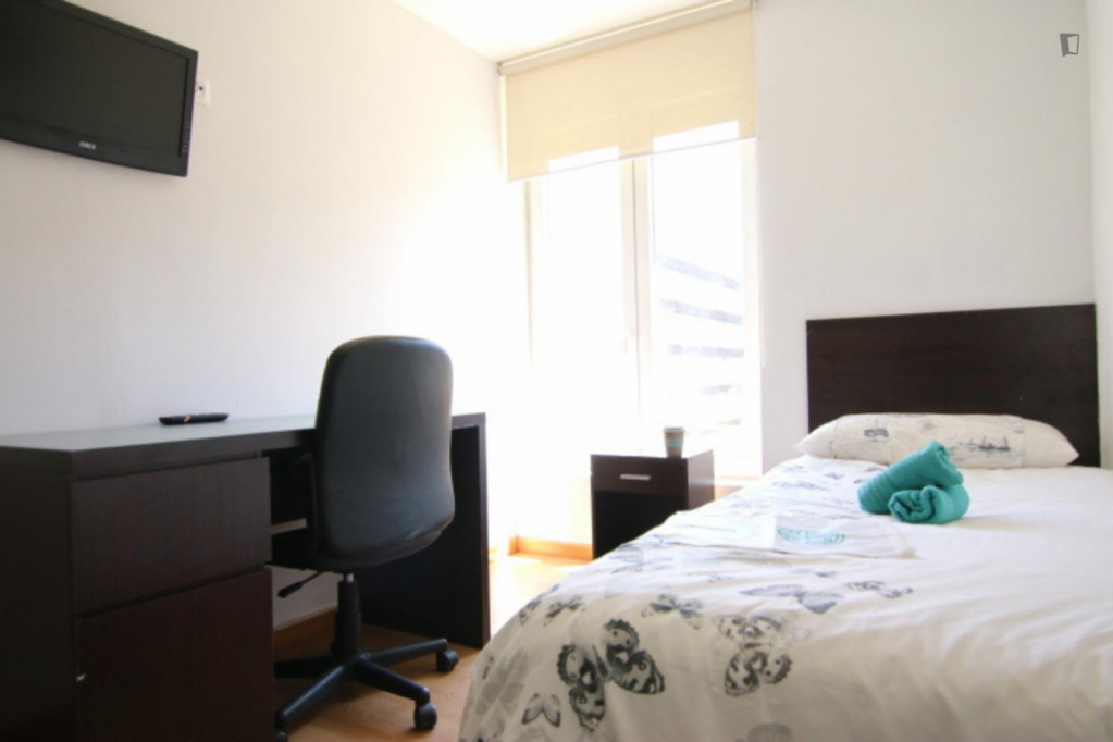 Single bedroom, with private bathroom, in 8-bedroom apartment - Madrid - chambre - ImmoJeune