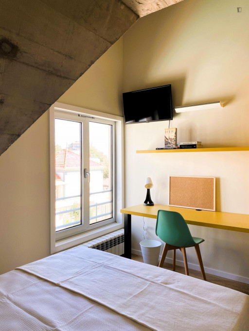 Lovely studio close to Escola Superior de Biotecnologia