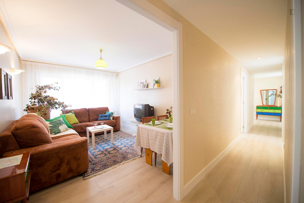 Cute single bedroom in a 3 bedroom apartment close to Europa parkea