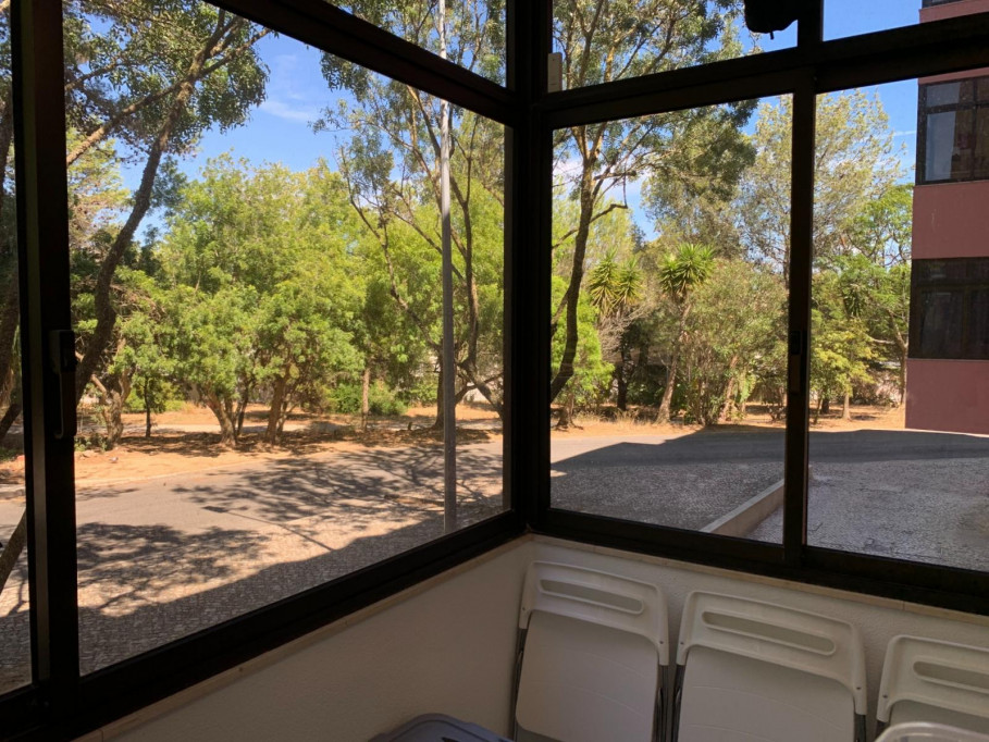Refined 2-bedroom flat in Costa da Guia