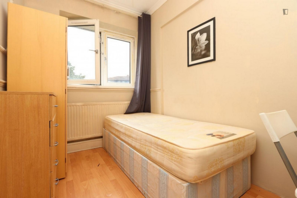 Single bedroom in Mile End - London - chambre - ImmoJeune