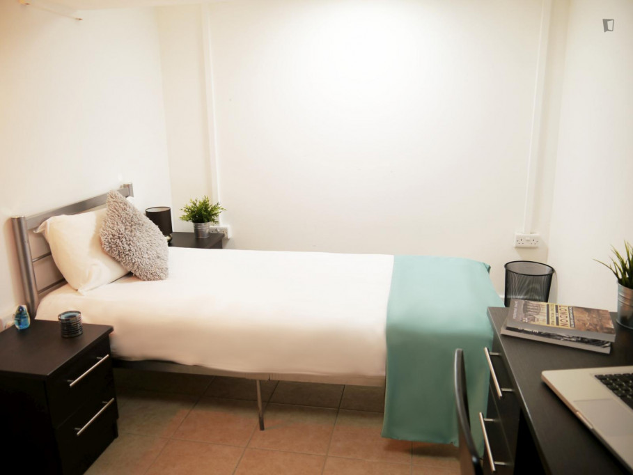 Vey nice twin ensuite bedroom a short walk from London South Bank University - London - chambre - ImmoJeune