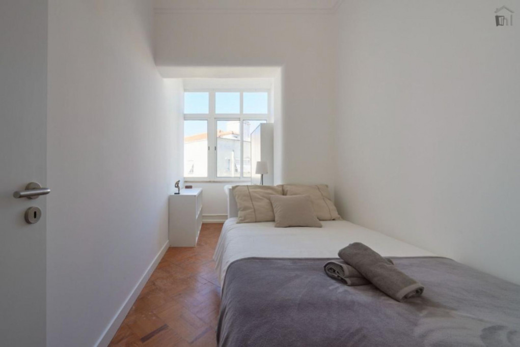 Very cool single bedroom in trendy Alameda