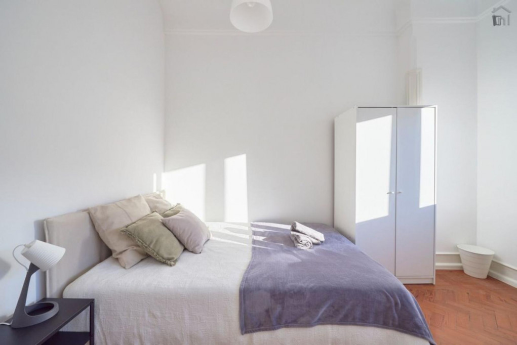 Inviting single bedroom in student-popular Alameda