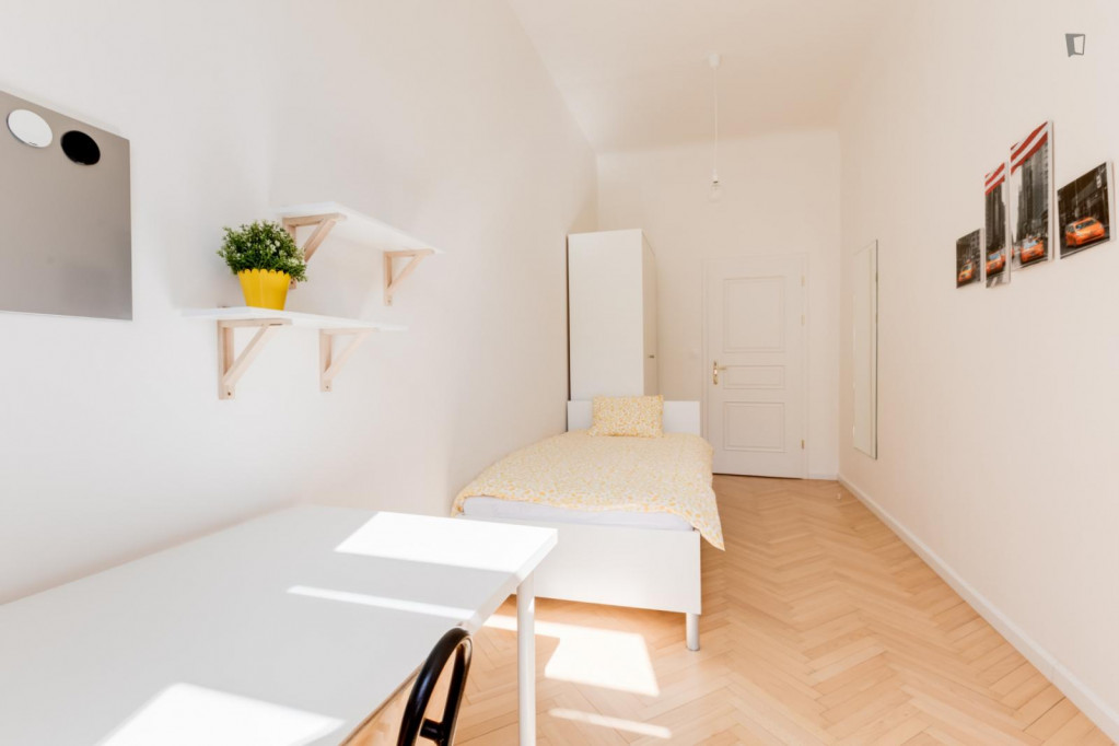 Pleasant and sunny single bedroom in the Malá Strana district
