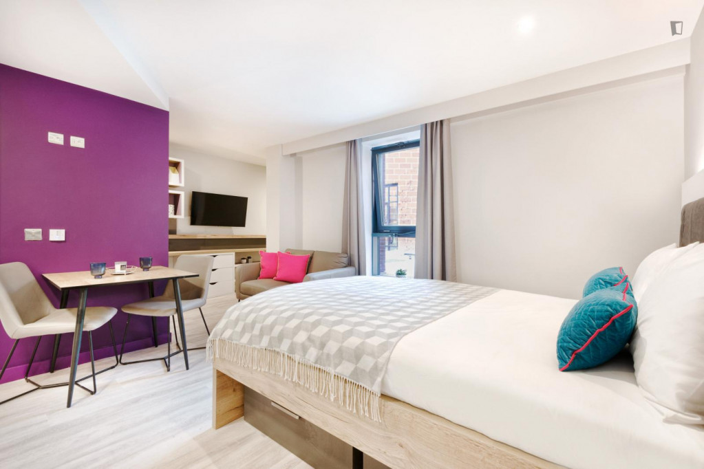 Elegant studio near the University of Lincoln - Lincoln - chambre - ImmoJeune