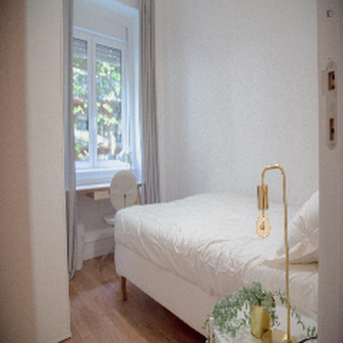 Attractive single bedroom