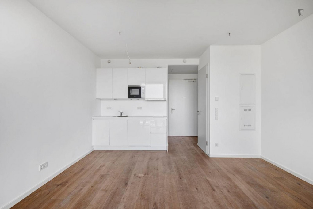 Unfurnished 1-bedroom apartment with balcony near the Skyline Plaza