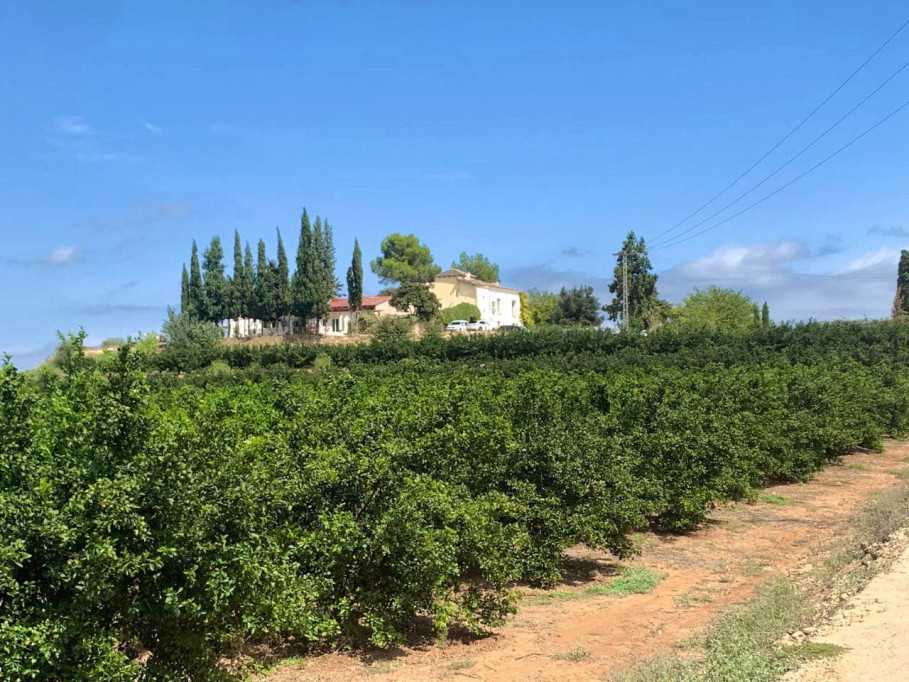 Gorgeous castle 9 km from Xàtiva