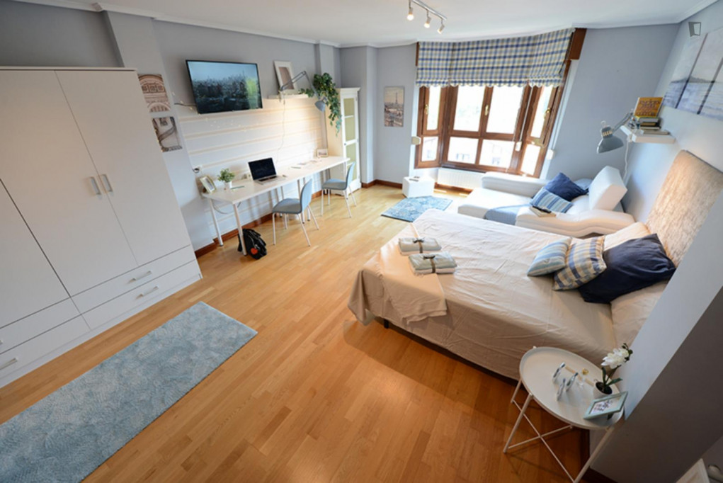 Large double bedroom in Mendibile - Bilbao - chambre - ImmoJeune