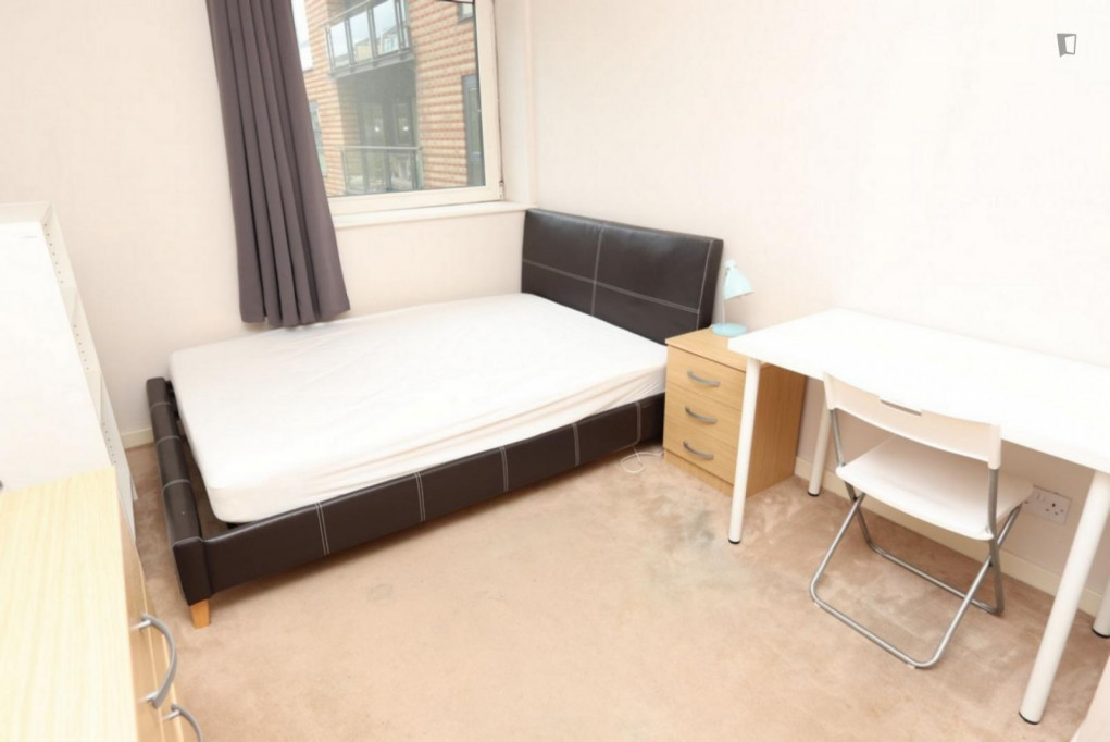 Cosy double bedroom close to Blackwall DLR station - London - chambre - ImmoJeune